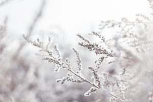 pomysły na zdjęcia w śniegu